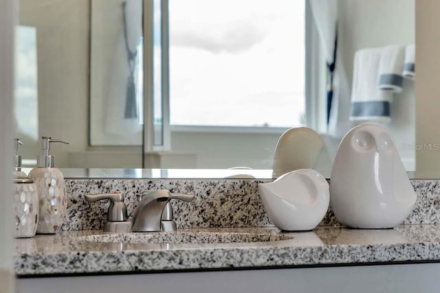 interior details featuring sink