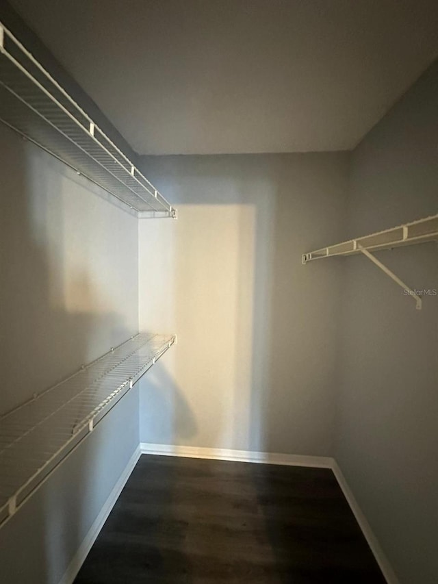 spacious closet featuring dark wood-type flooring