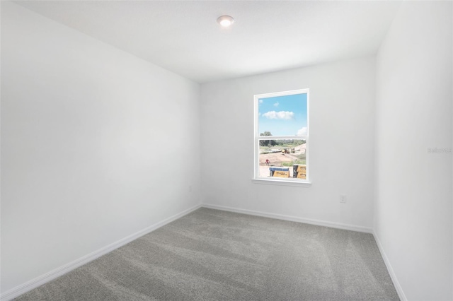 unfurnished room with carpet flooring