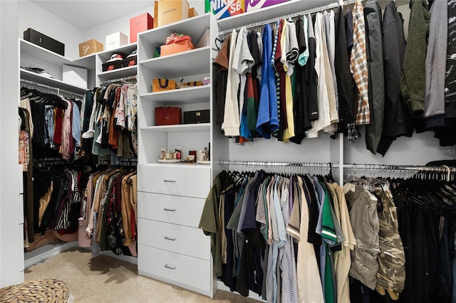 spacious closet featuring light colored carpet