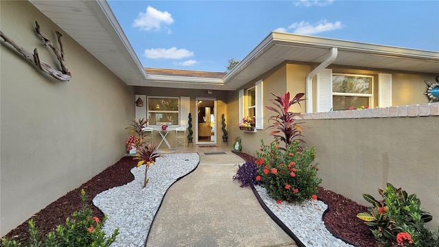 property entrance featuring a patio and stucco siding