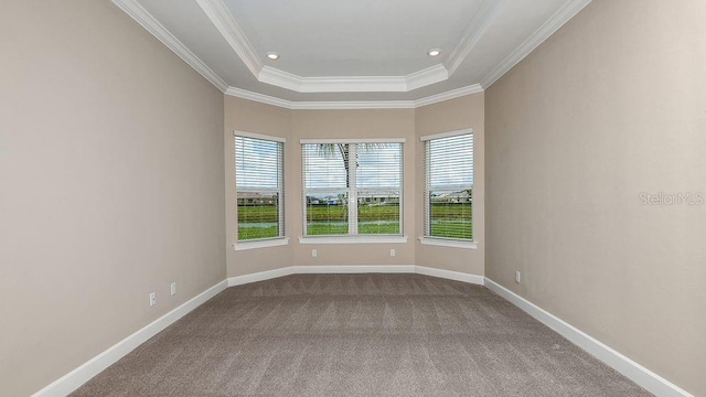 857 Arbor Green Trl, Saint Cloud, FL 34771 - carpeted empty room with ornamental molding, baseboards, and a tray ceiling