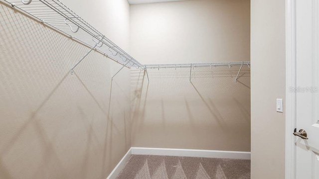 857 Arbor Green Trl, Saint Cloud, FL 34771 - spacious closet featuring carpet