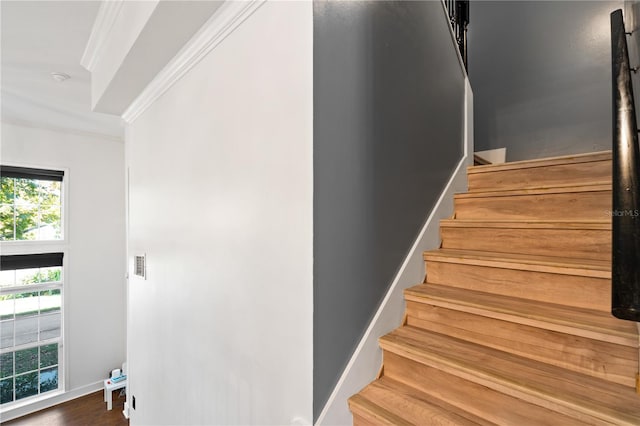 staircase featuring crown molding and hardwood / wood-style flooring