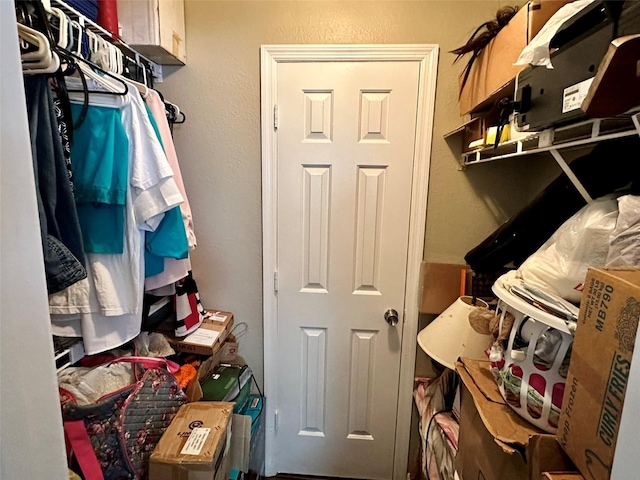 view of walk in closet