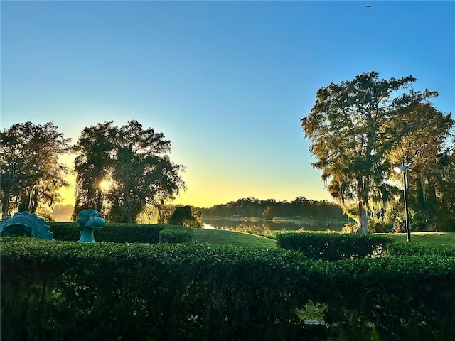 view of nature at dusk