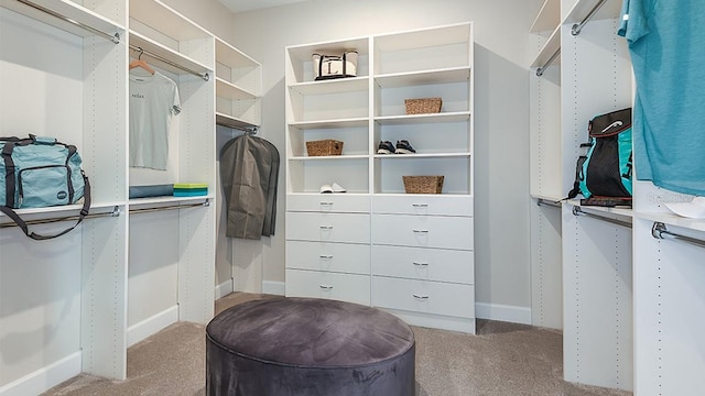 walk in closet with light carpet