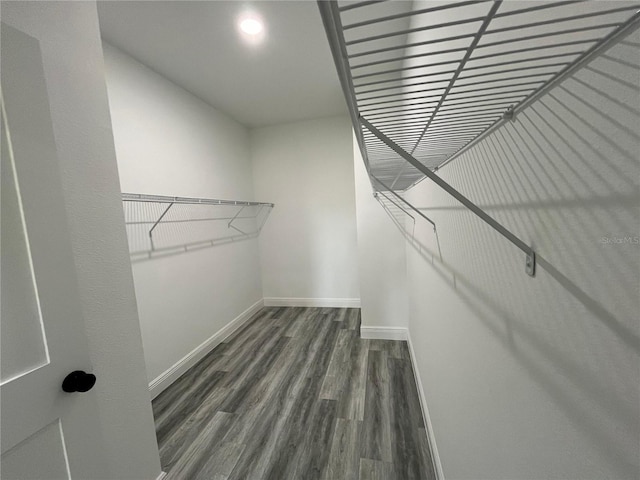 spacious closet with dark wood-type flooring