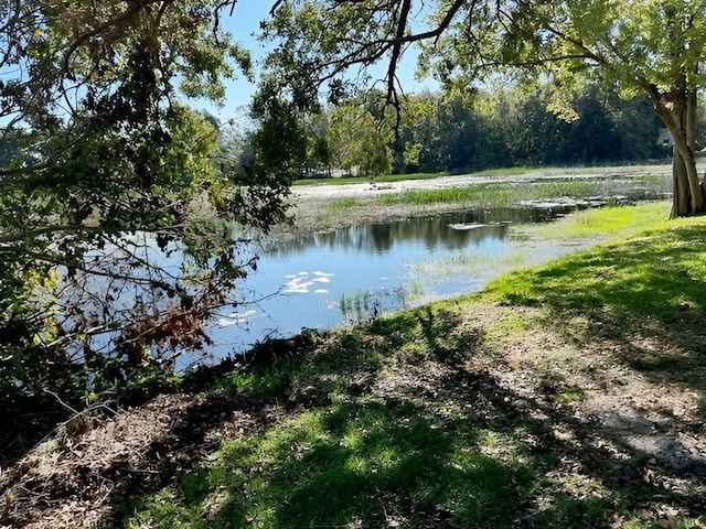 view of water feature