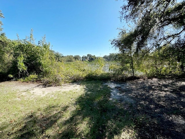 view of local wilderness