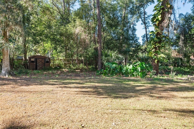 view of yard featuring a shed