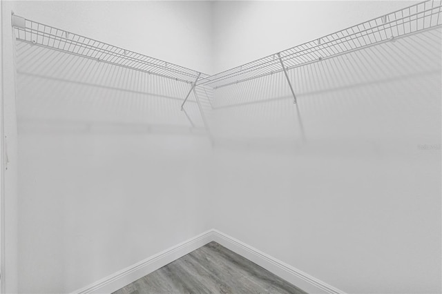 spacious closet featuring wood-type flooring