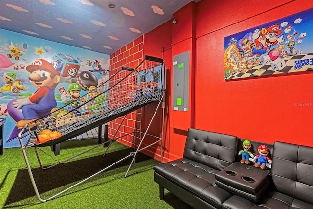 recreation room featuring carpet and electric panel