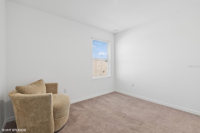 sitting room featuring carpet flooring