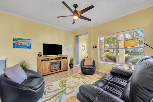 living room with crown molding, ceiling fan, a textured ceiling, and light wood-type flooring