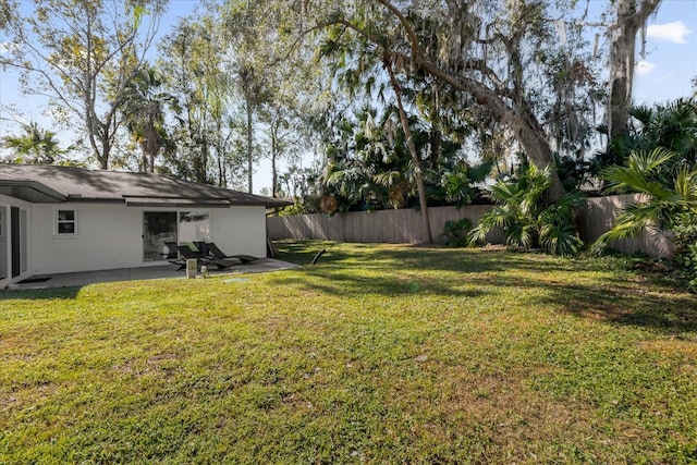 view of yard featuring a patio area