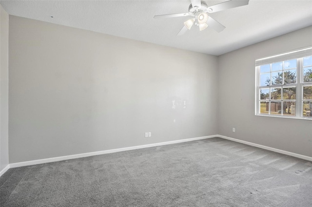 unfurnished room with ceiling fan and carpet floors