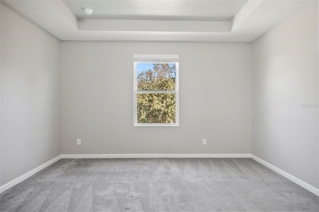 carpeted spare room with a raised ceiling