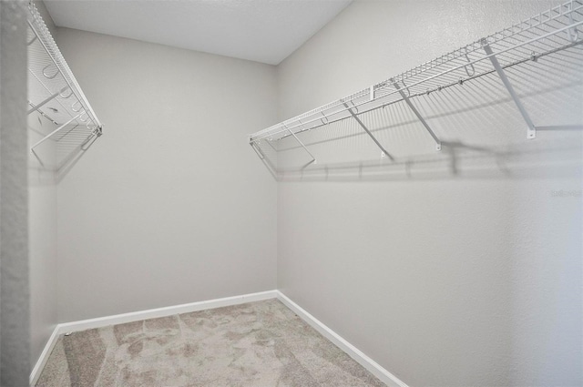 spacious closet with carpet floors