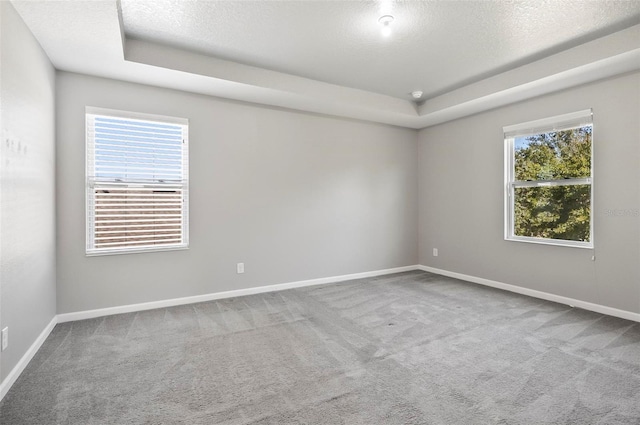 unfurnished room with a textured ceiling, carpet flooring, and a raised ceiling