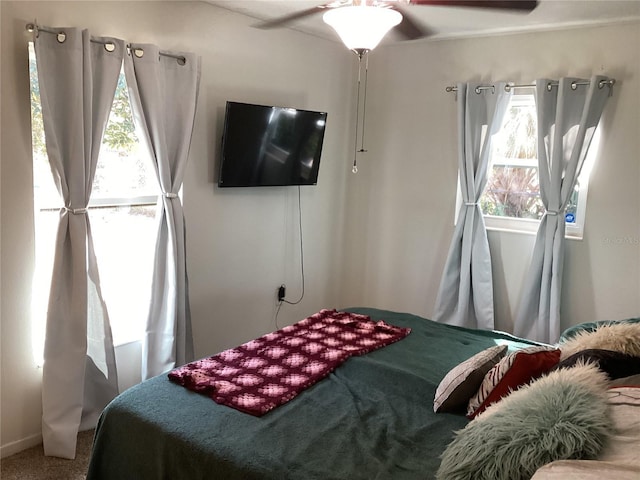 carpeted bedroom featuring multiple windows and ceiling fan