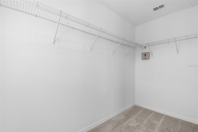 walk in closet featuring carpet floors