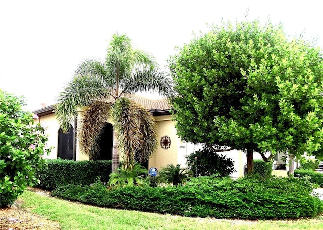 view of front of home featuring a tile roof and stucco siding