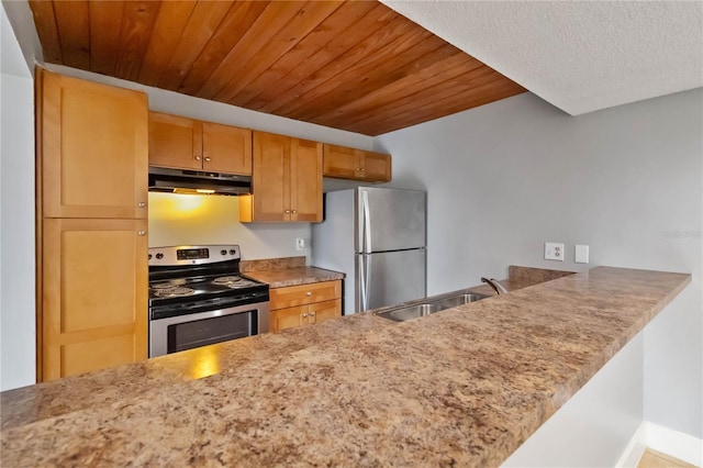 kitchen with kitchen peninsula, sink, and appliances with stainless steel finishes