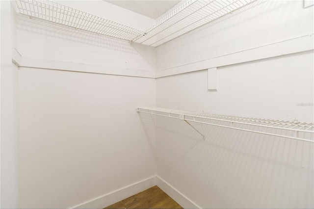 spacious closet with wood finished floors