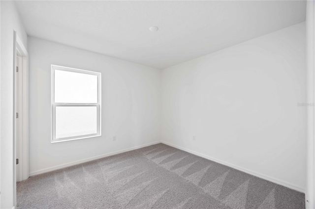 spare room featuring carpet floors