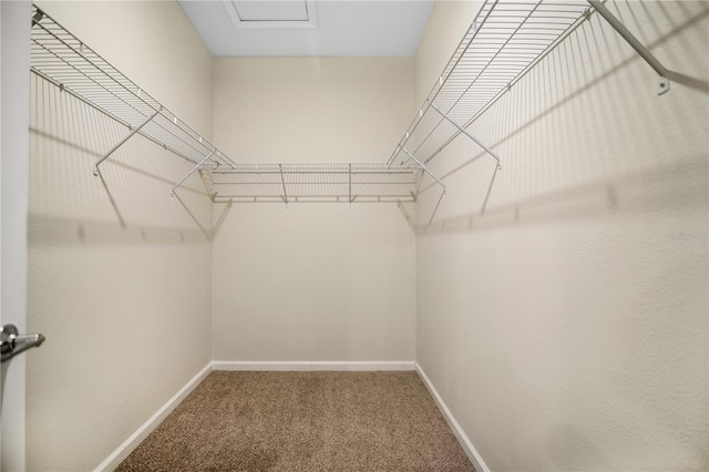 walk in closet featuring carpet