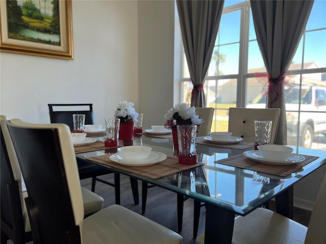 dining space featuring hardwood / wood-style floors