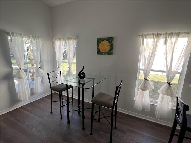 dining space featuring dark wood-type flooring