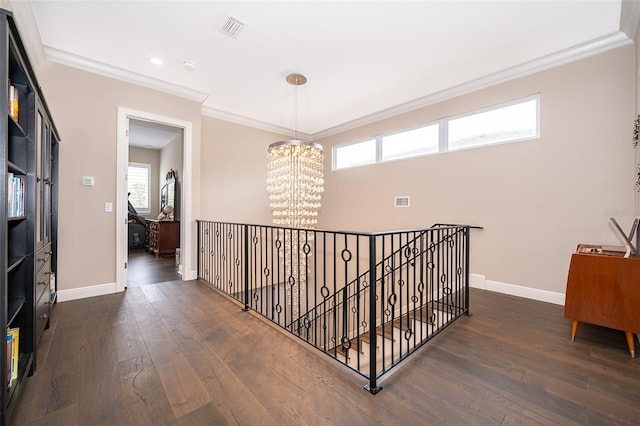 corridor with dark hardwood / wood-style floors, an inviting chandelier, and crown molding