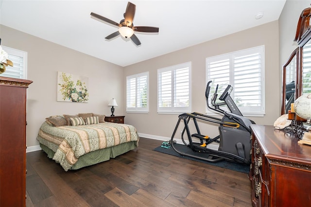 bedroom featuring ceiling fan, dark hardwood / wood-style floors, and multiple windows