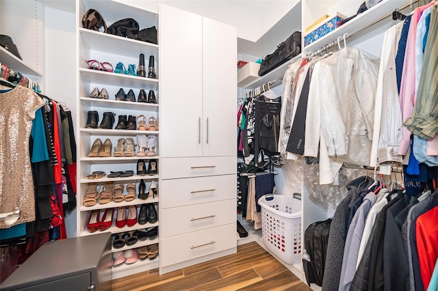 spacious closet featuring hardwood / wood-style floors