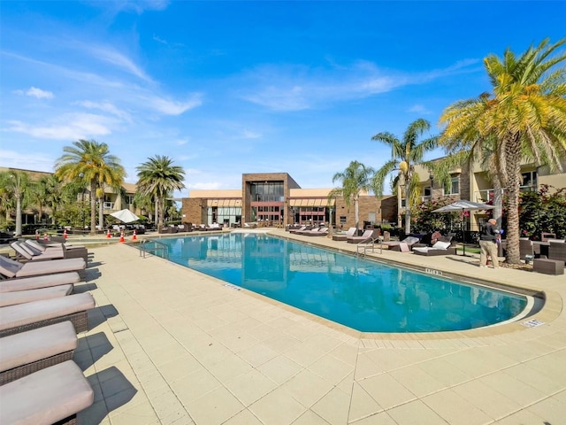 view of pool featuring a patio