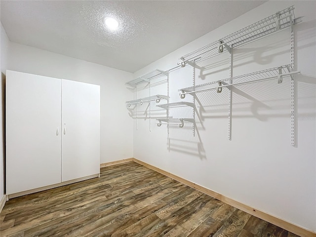 spacious closet featuring wood-type flooring