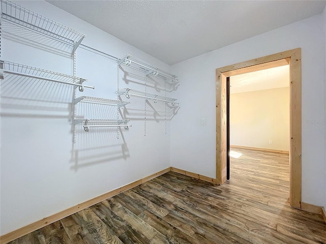 spacious closet featuring wood-type flooring