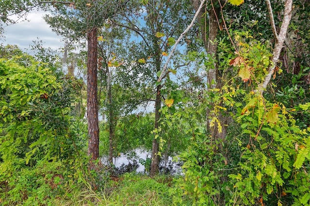 view of local wilderness featuring a water view