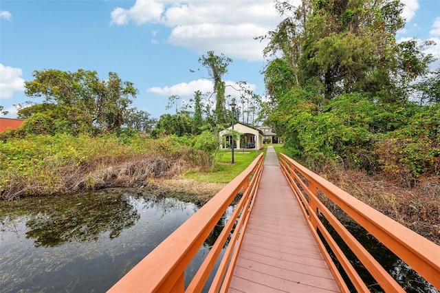 dock area with a water view