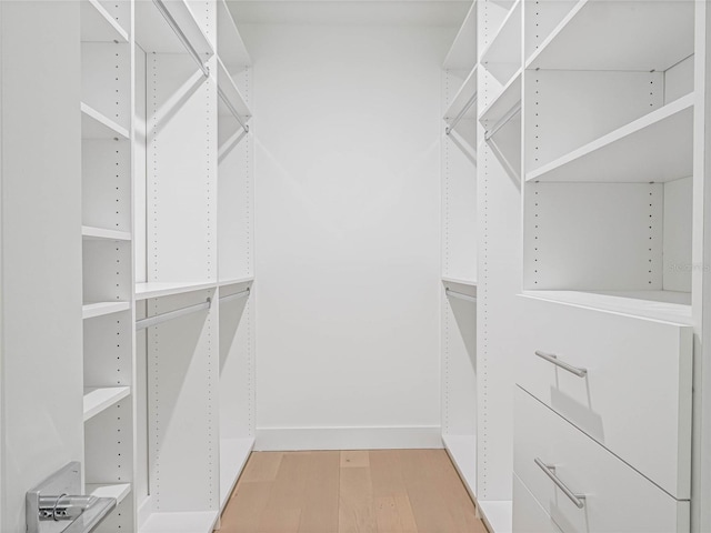 walk in closet with wood-type flooring