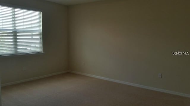 unfurnished room featuring carpet