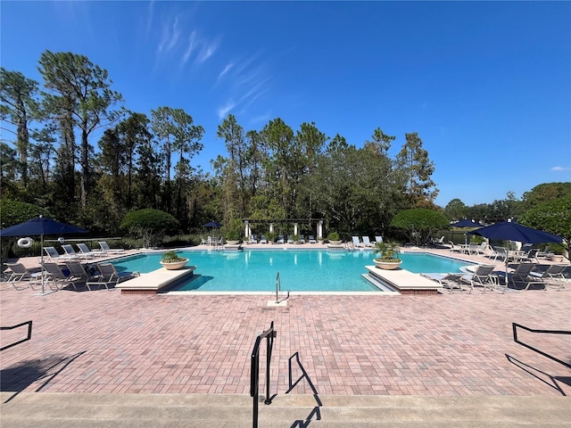 view of pool featuring a patio