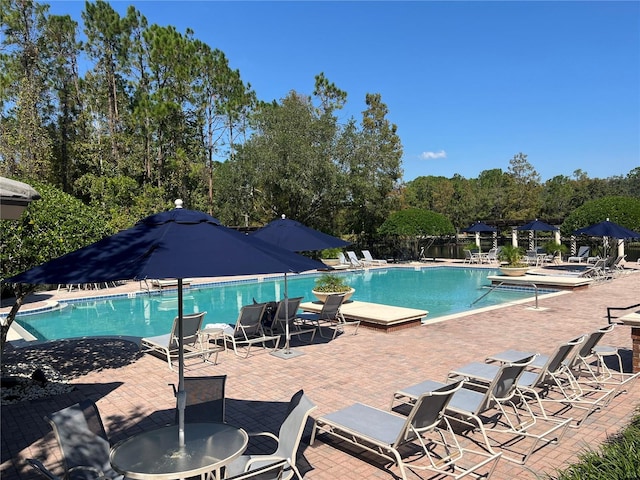 view of pool featuring a patio area