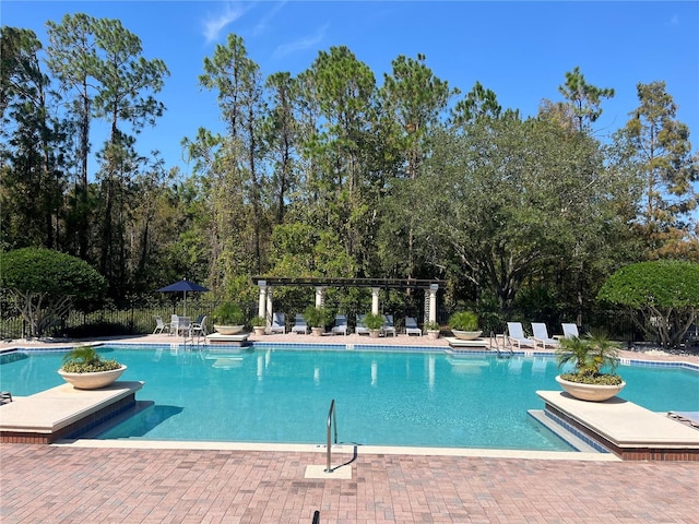 view of pool with a patio area