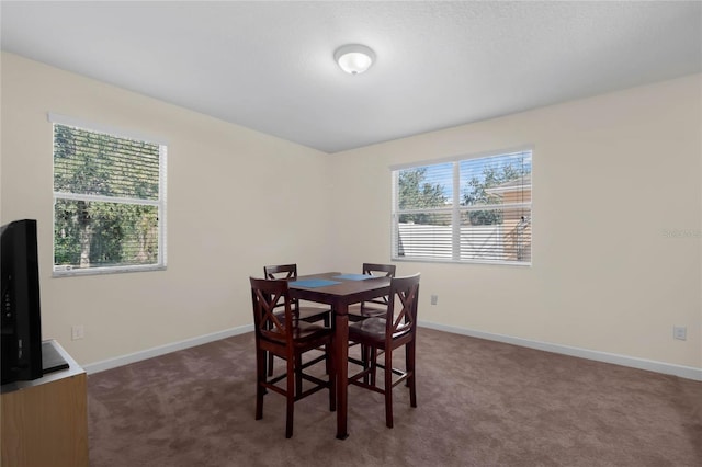 dining area featuring dark colored carpet