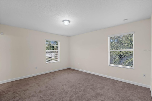 empty room with carpet and a textured ceiling