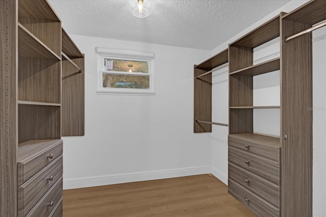 spacious closet featuring hardwood / wood-style flooring