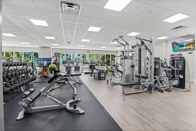 exercise room featuring hardwood / wood-style floors and a paneled ceiling